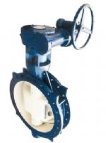 Resilient Seated Eccentric Flanged Butterfly Valve