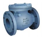 Swing Check Valve